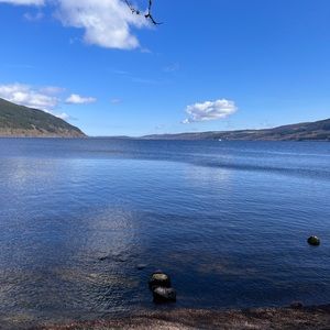 Meet your Posher, Liam